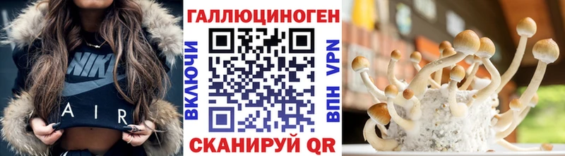 наркотики Дорогобуж Псилоцибиновые грибы Cubensis