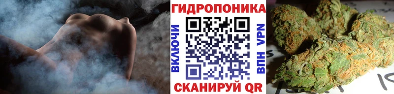 купить наркотики сайты  Дорогобуж  Шишки марихуана индика 